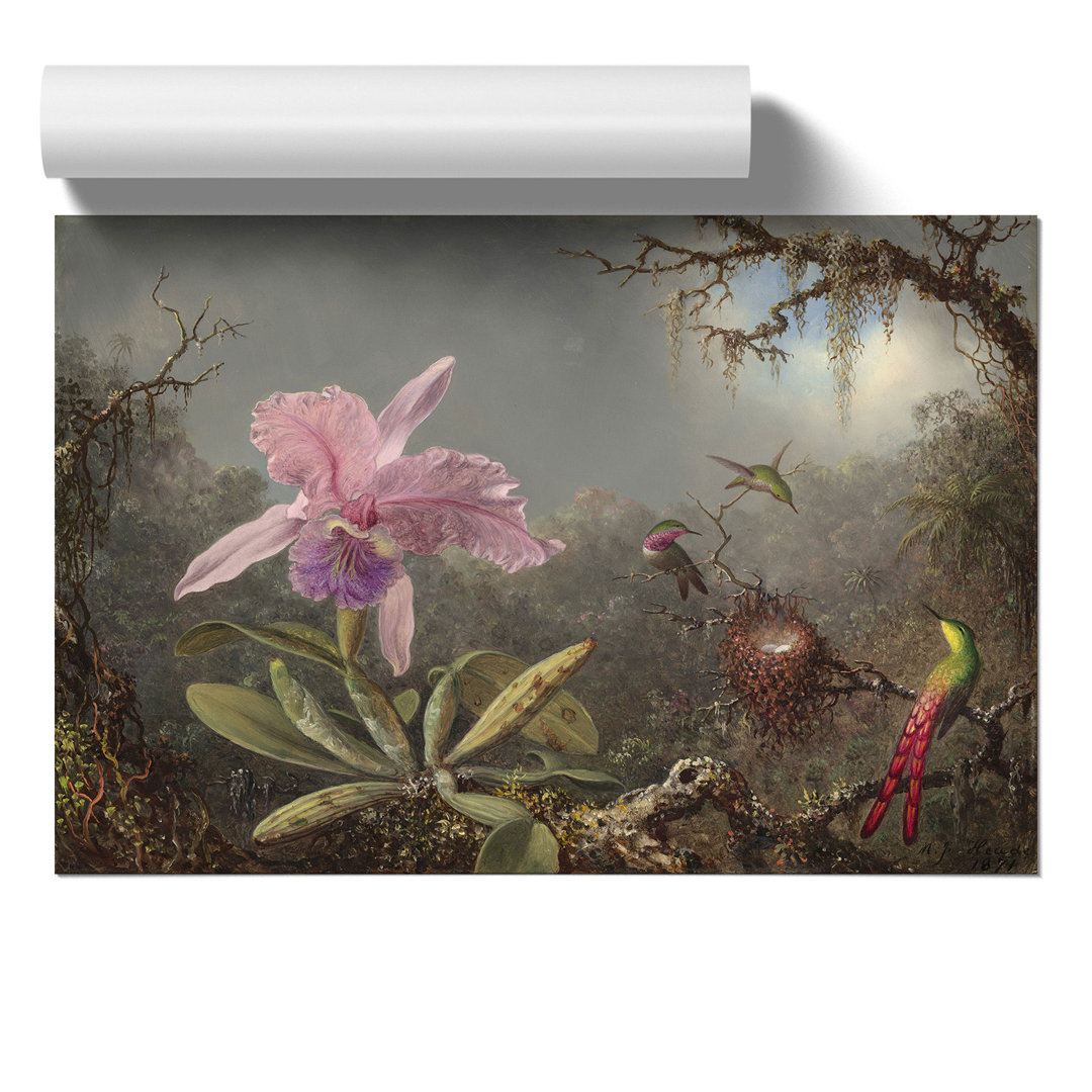 Cattleya Orchid and Hummingbirds by Martin Johnson Heade - Frameless Print