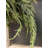 Faux Cedar Swag-484728338