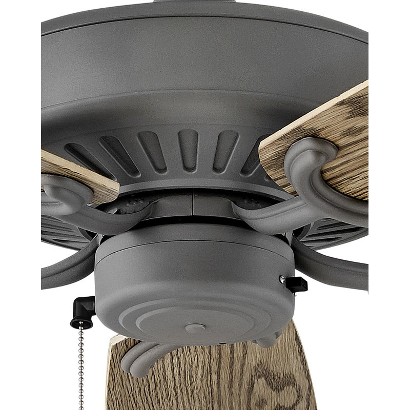 Ventilateur de plafond standard à 5 pales de 60 po avec chaînette Oasis, Graphite