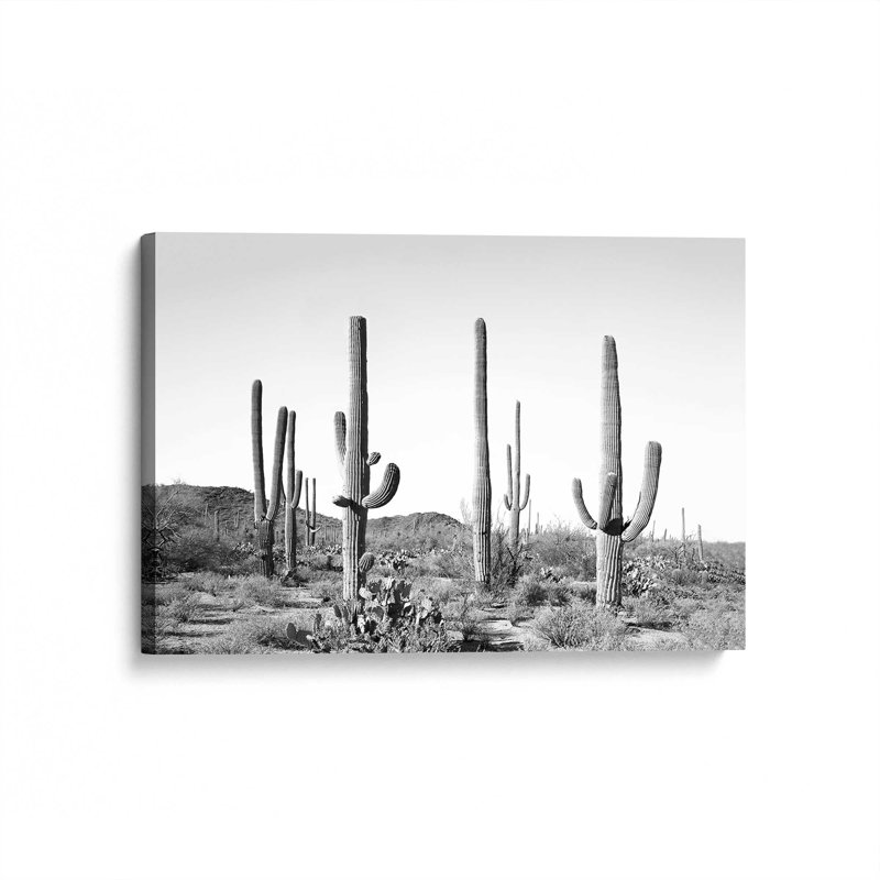 «Gray Cactus Land» par Garima Dhawan, reproduction d'art sur toile, H 24 po x l 32 po, Toile tendue, Ne s’applique pas