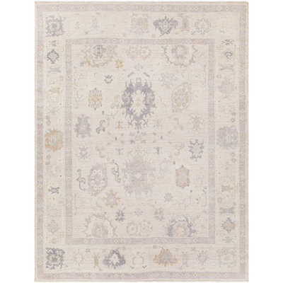 Hand Knotted Oriental Area Rug