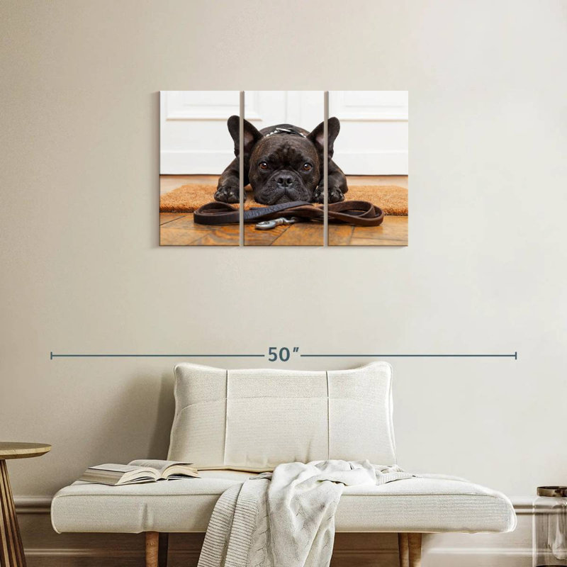 Bouledogue français en attente, H 20 po x l 33 po
