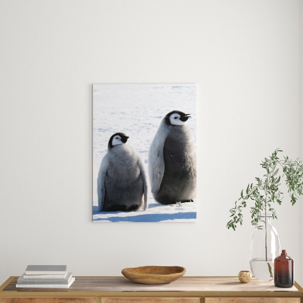 Leinwandbild Pinguinküken