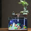 Aquarium en verre-1038129497