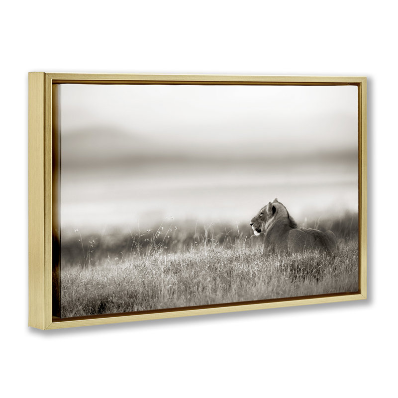 Lion au repos dans l'herbe de savane, Cadre flottant gris lustré, H 21 po x l 31 po