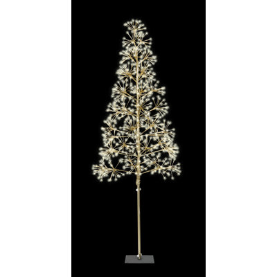 Lighted Trees & Branches