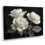 Monochromes en noir et blanc Roses Bloom II - Roses, art mural-1949004843-2053653029