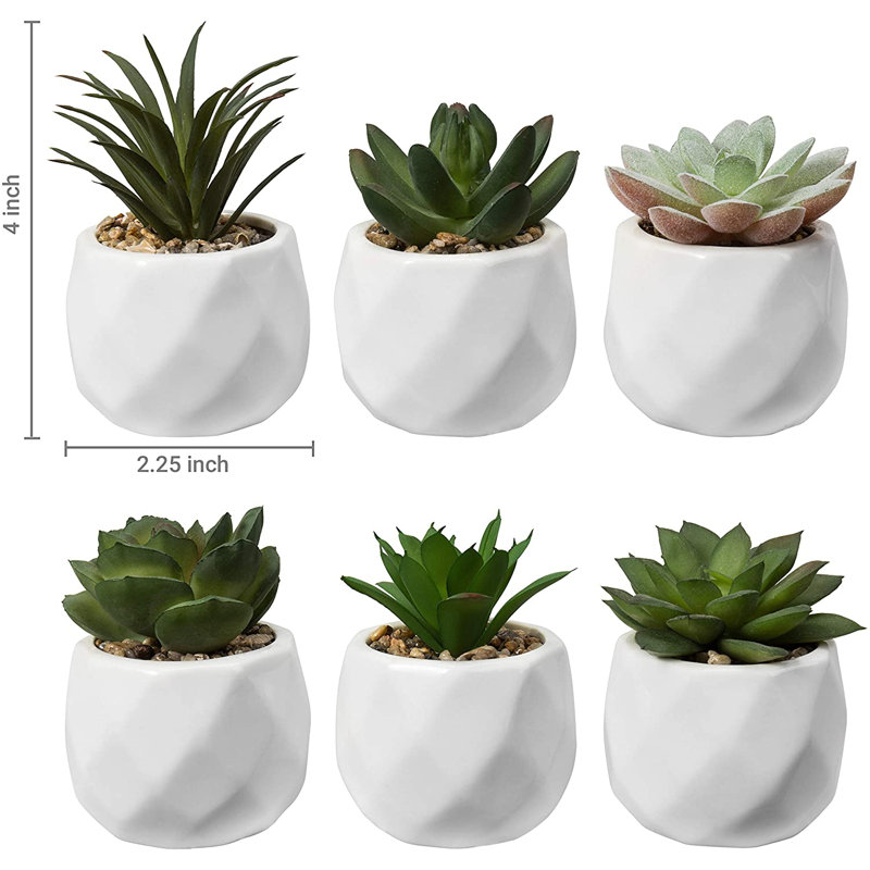 Ensemble de 6 plantes succulentes artificielles en pot Jarema