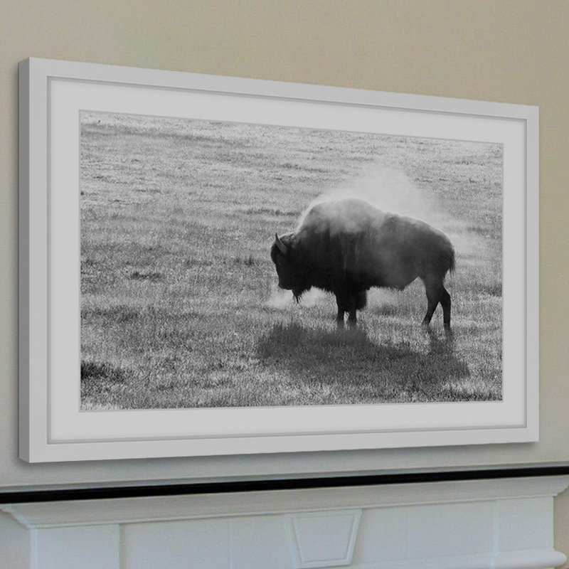 « solitaire buffalo », reproduction de photo sur papier encadrée, H 30 po x l 45 po x P 1,5 po