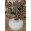 Arrangement-111171318-111171320