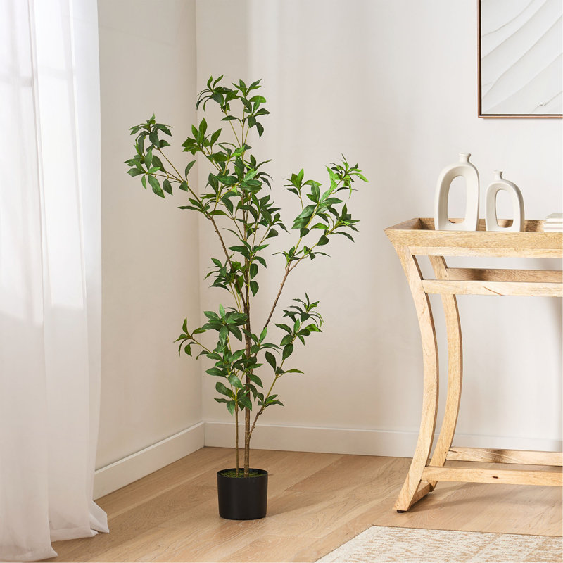 Pieris artificiel, 47,2 po x 19,7 po