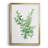 " Eucalyptus III "-1947160342-1947160338