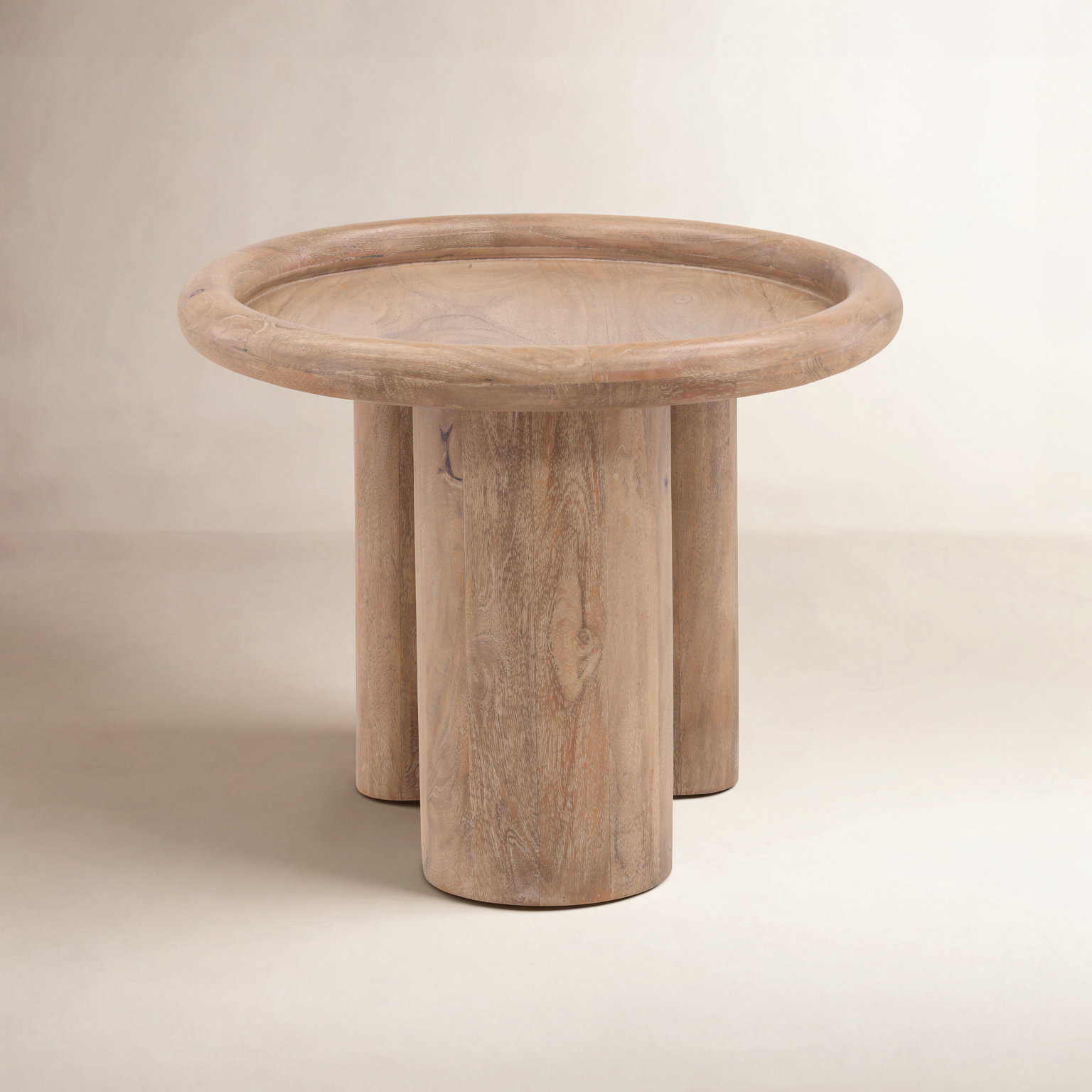 Aalin 24" Mango End Table