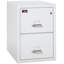 Fireproof 2 - Drawer File Cabinet-20325697
