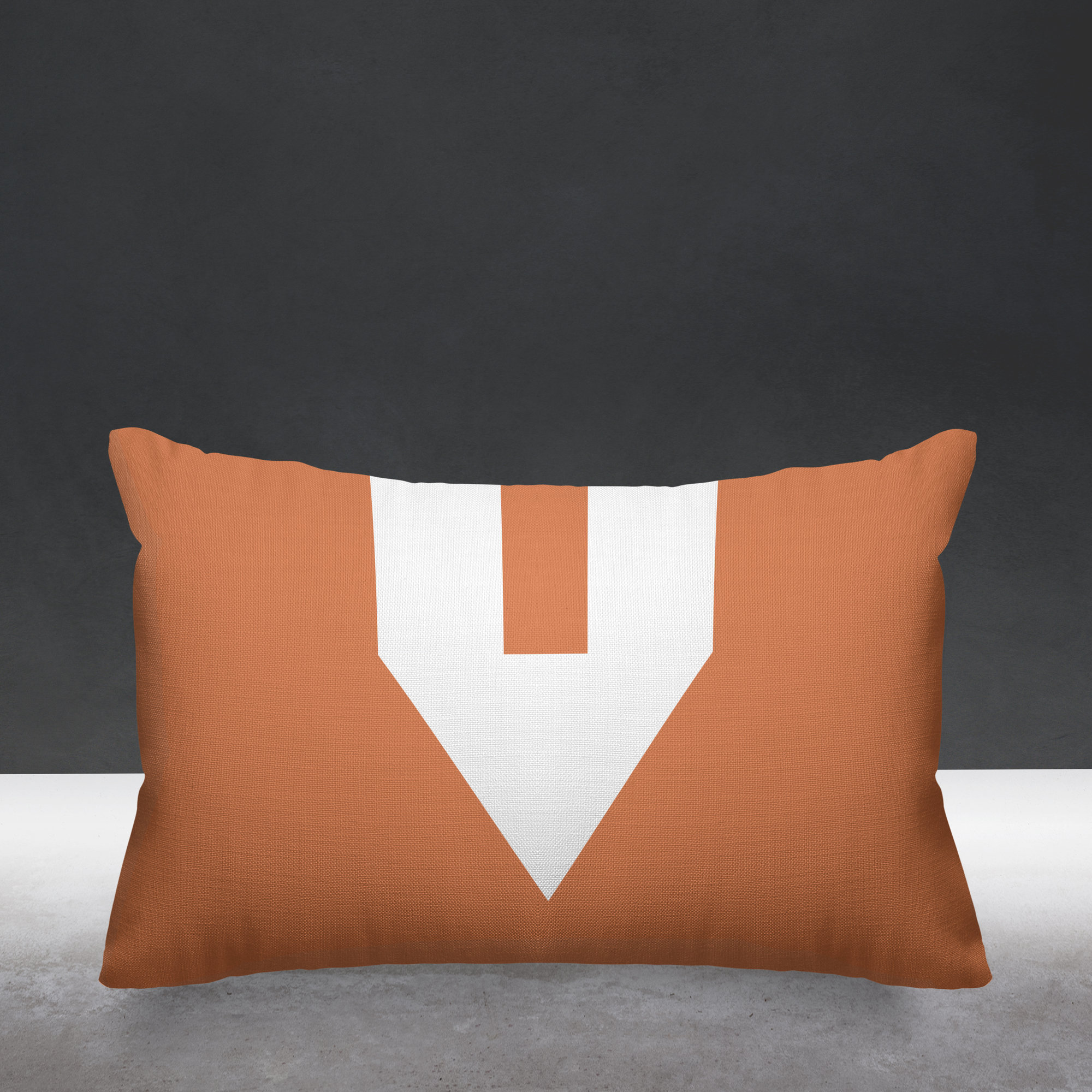 Luella Geometric Indoor/Outdoor Lumbar Throw Pillow, Nude
