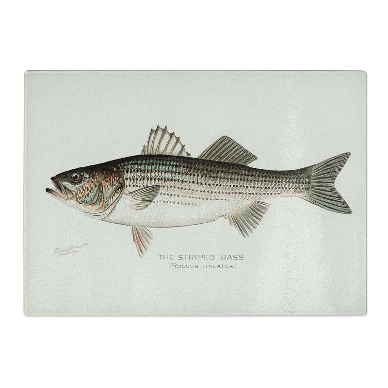 Tempered Glass Striped Bass by Sherman F. Denton Chopping Board, 39 cm x 28.5 cm