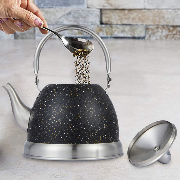 Tea Kettle Stovetop Stainless Steel Tea Pots with Mesh Strainer Pour Over  Coffee Kettle Tea Brewing Kettle Fast Heating Boiling Water Kettle  Induction