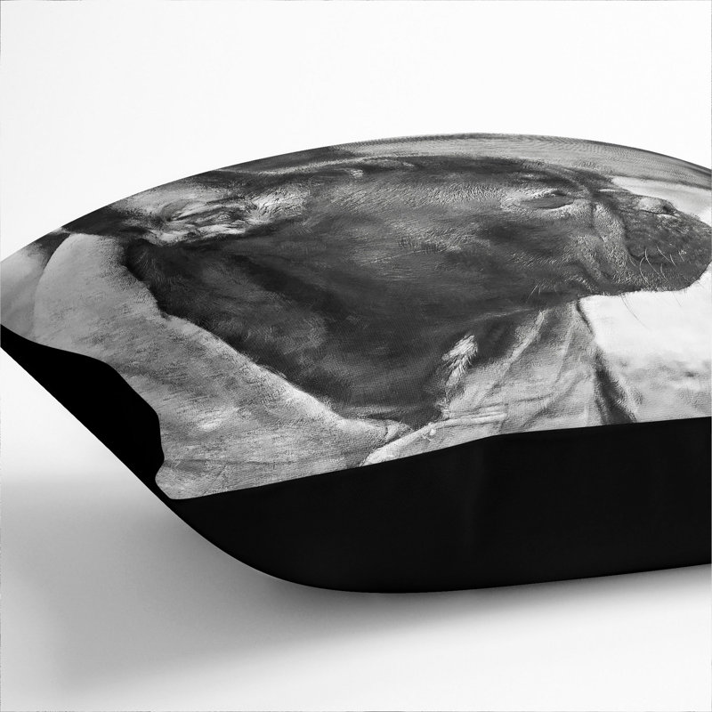 Square Cushion, 40cm H x 40cm W x 15cm D, Black