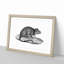 Rat Illustration - Picture Frame Drawing Print-55616464-55616465