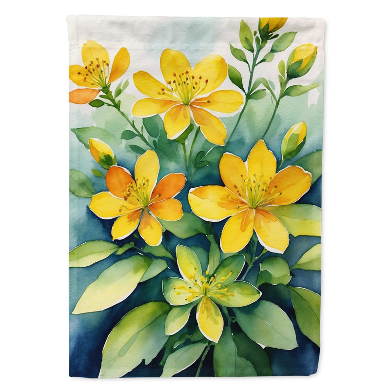 Drapeau d'hypericum ou de millepertuis, L'hypericum ou le millepertuis