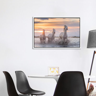 White Angels Of Camargue XXXII by Daniel Kordan - Print on Canvas