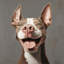 Tongue Out, Jokes In 4 - Unframed-432908317