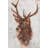 Stag Study I by Ethan Harper - Wrapped Canvas Painting-776608681