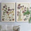 Pressed Flower Arrangement V - Ensemble de 2 reproductions d'art-137164410-147857830-147857831