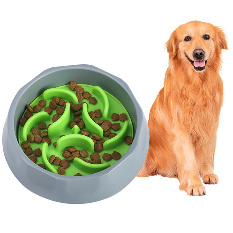 Bol pour chien à alimentation lente avec ventouse à poulpe, Gris/vert