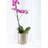Everly Quinn Silver Cylinder Aluminum Vase – Modern Decorative Flower Vase For Weddings, Events, Home Decor, And Stylish Table Centerpieces, Gift Idea,Pack Of 12-1060781504