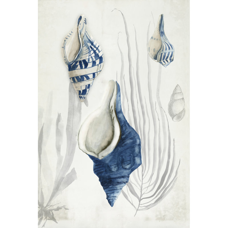 Coquilles antiques I, H 18 po x l 12 po