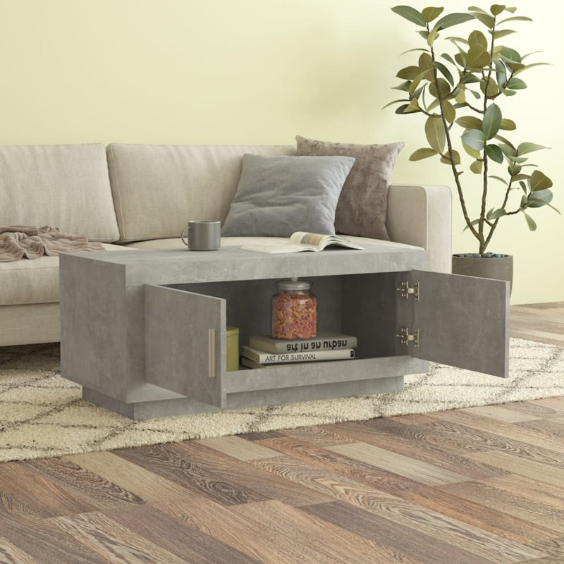 Jahnai Solid Coffee Table with Storage, Concrete Grey