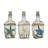 Brumley Starfish and Shell in Bottle-2139867840