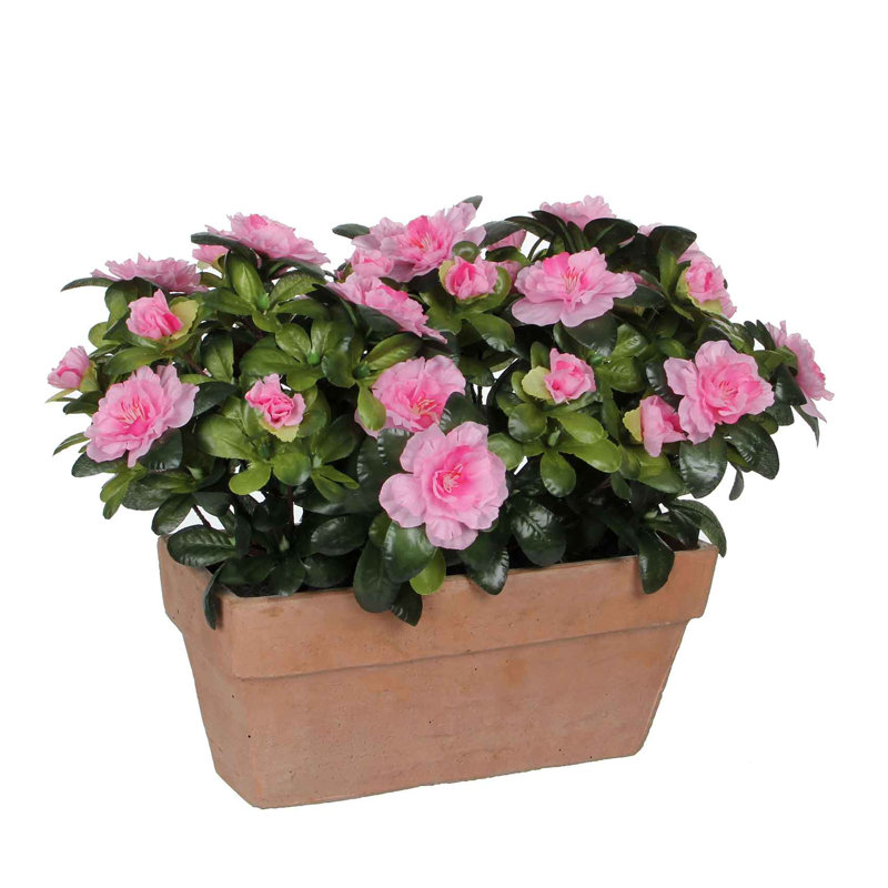 Omprakash 27cm Faux Flowering Plant in Planter, Pink