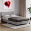 Scipio Upholstered Faux Leather Bed, UKFR Certified-1519523619-1519523647