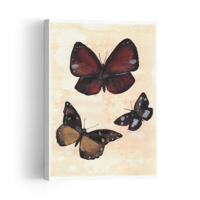 Diverse Butterflies Contemporary Butterfly Moth Wall Art Print by Christine Lindstrom - Print