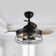 Caselli 36'' Ceiling Fan with Light Kit