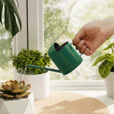 Arrosoir de 325 ml (11 oz) en acier inoxydable, petit modèle à long bec, élégant et mignon, pour plantes d'intérieur et d'extérieur.