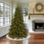 Jupe d'arbre Evergreen