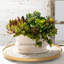 Pot à fleurs crème