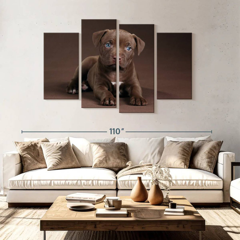 Chiot Brampt Pit Bull