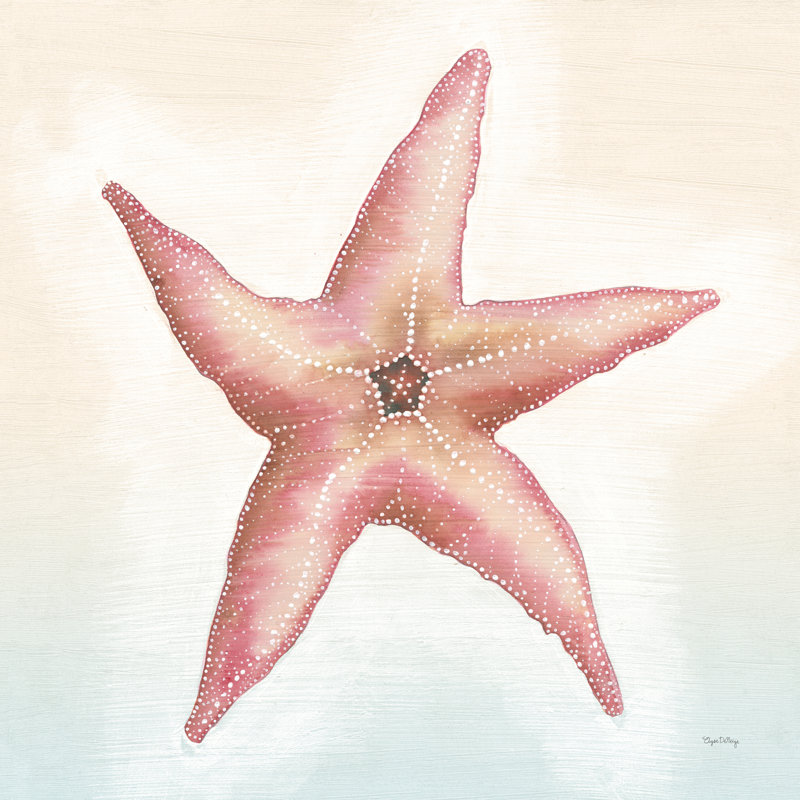 Boardwalk Starfish by Elyse DeNeige - Wrapped Canvas Print, 30cm H x 30cm W x 3.8cm D