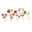 Metal Wall 5 - Hook Wall Mounted Coat Rack