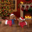 Ensemble de 2 décorations de Noël pour chien teckel éclairées, pré-éclairé avec 115 lumières DEL blanc chaud, cadre en métal résistant aux intempéries, décoration de Noël intérieure / extérieure