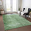 Tapis vert intérieur / extérieur lavable à la machine Xhevrie-948175069