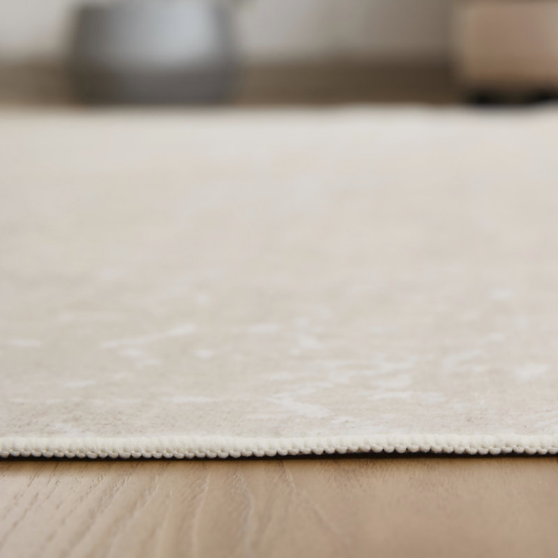 8‘ * 10’ Distressed Area Rug