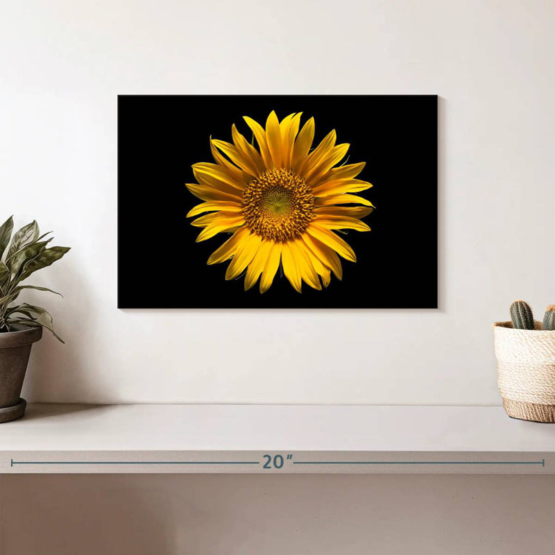 Harnek tournesol sur fond noir, H 8 po x l 12 po