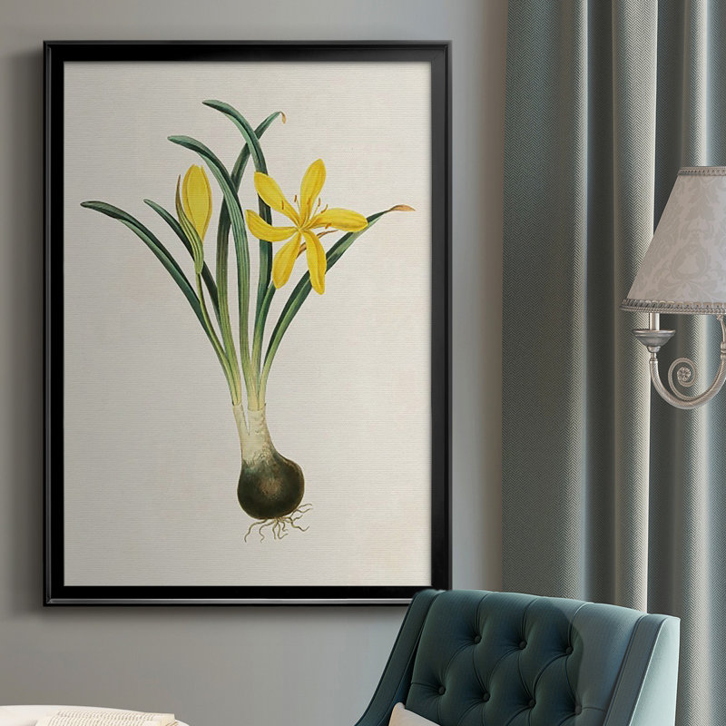 Fleurs des saisons VI, reproduction encadrée de qualité supérieure - prête à être accrochée, Noir