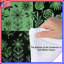 Édredon Green Botanical Patchwork-127458702