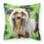 Chinese Crested